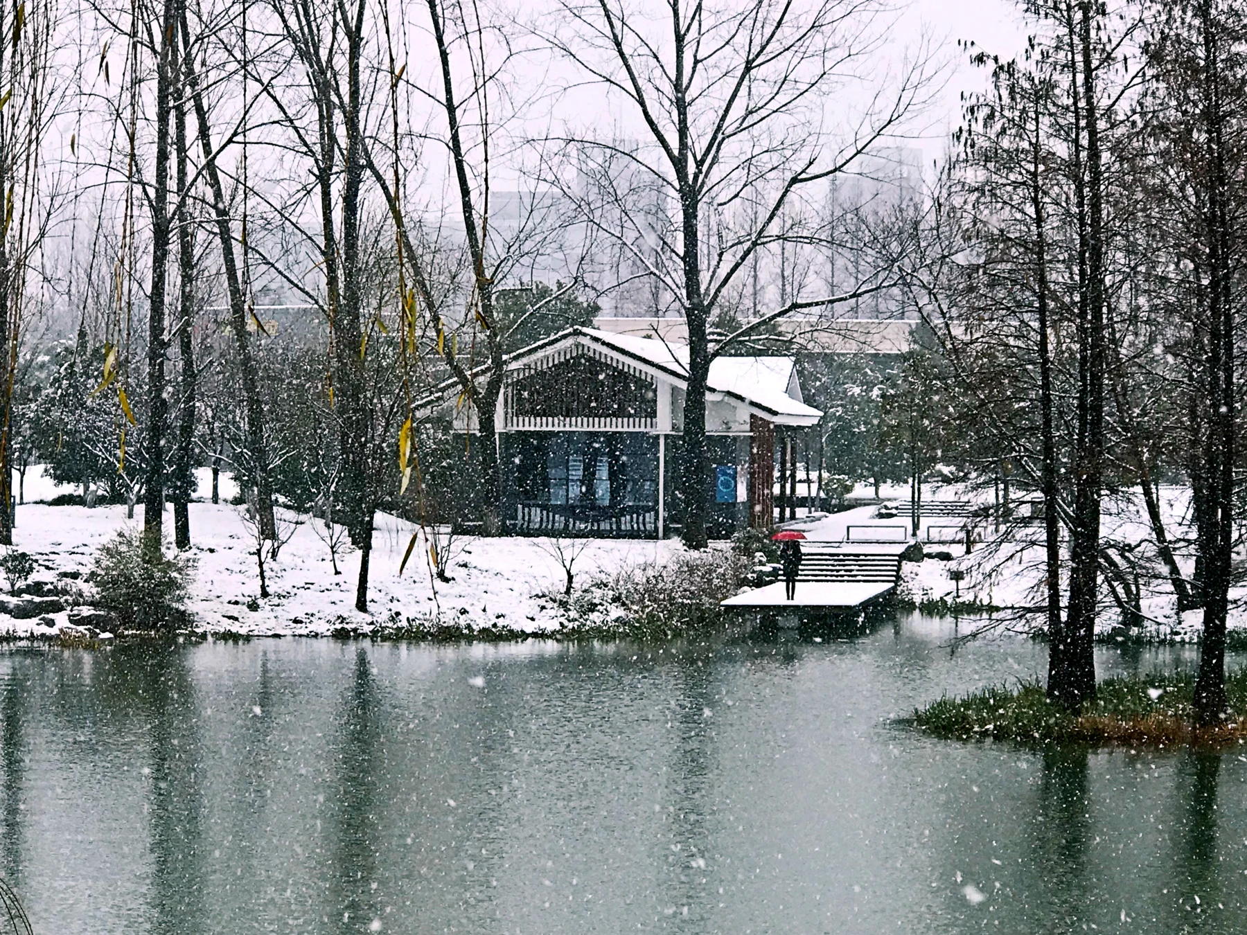 冬日积雪中的百灵岛咖啡馆